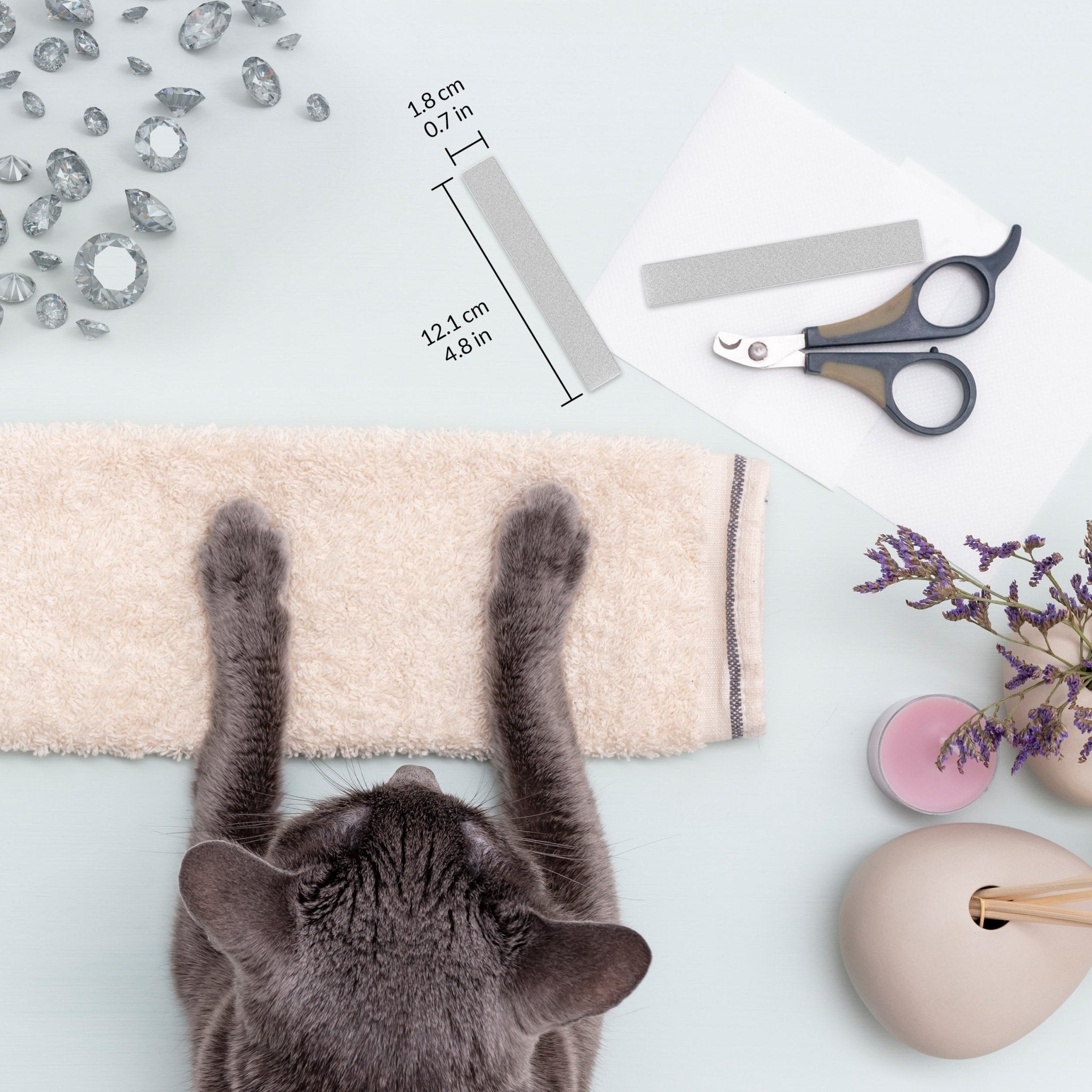 Claws file Sacha™ (medium size) for animals - Diamancel Europe