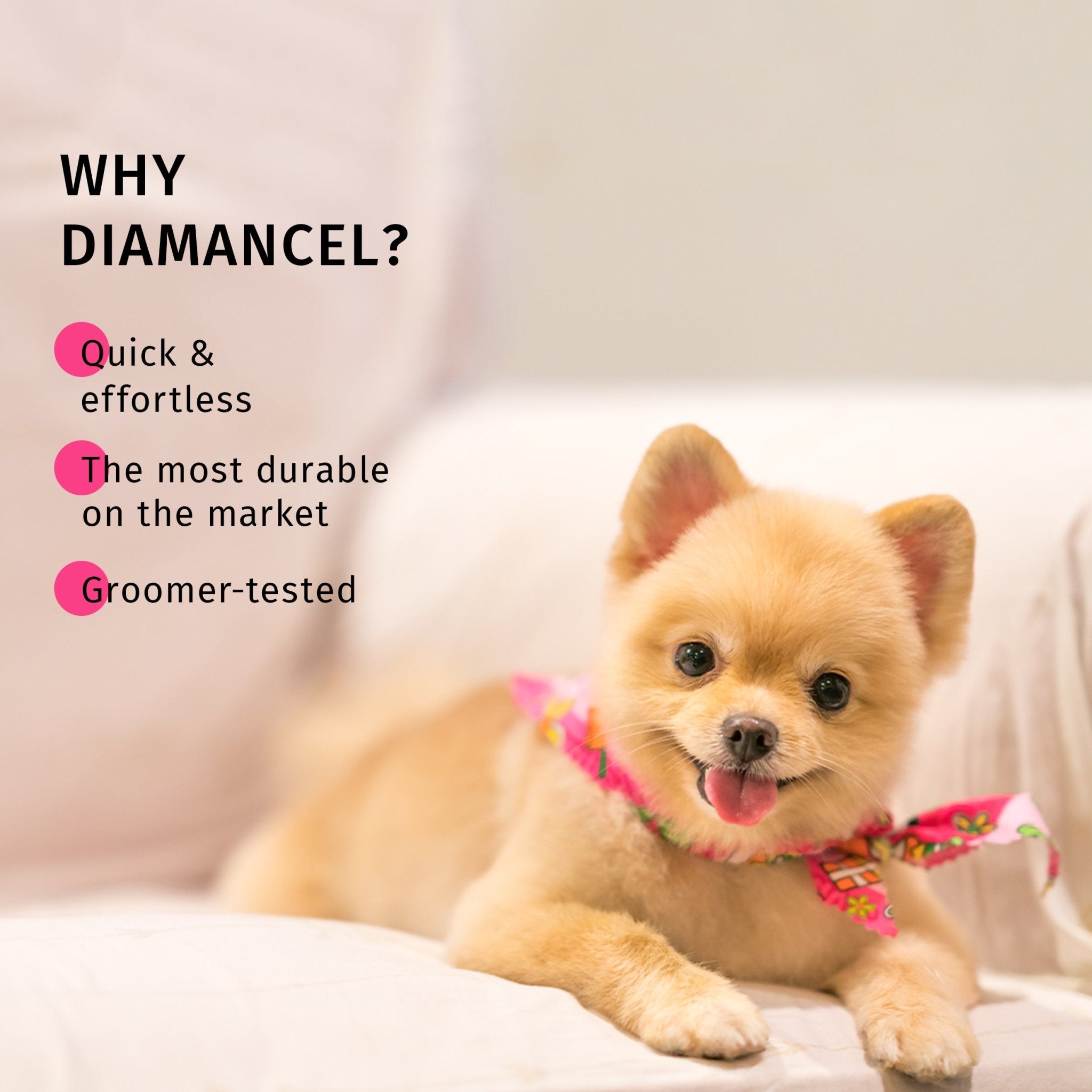 Claws file Sacha™ (medium size) for animals - Diamancel Europe