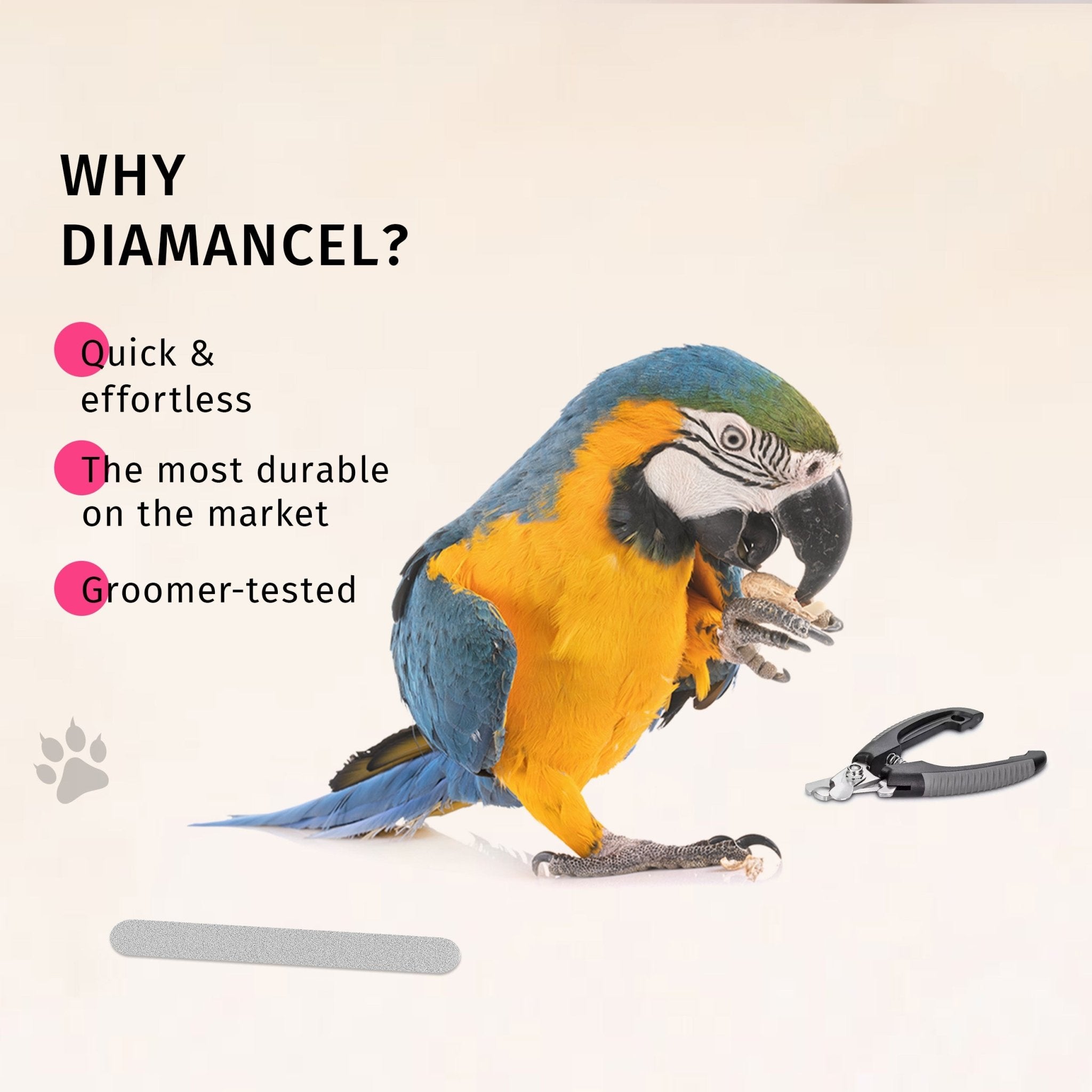 Claws file Mini - Sacha™ for animals - Diamancel Europe