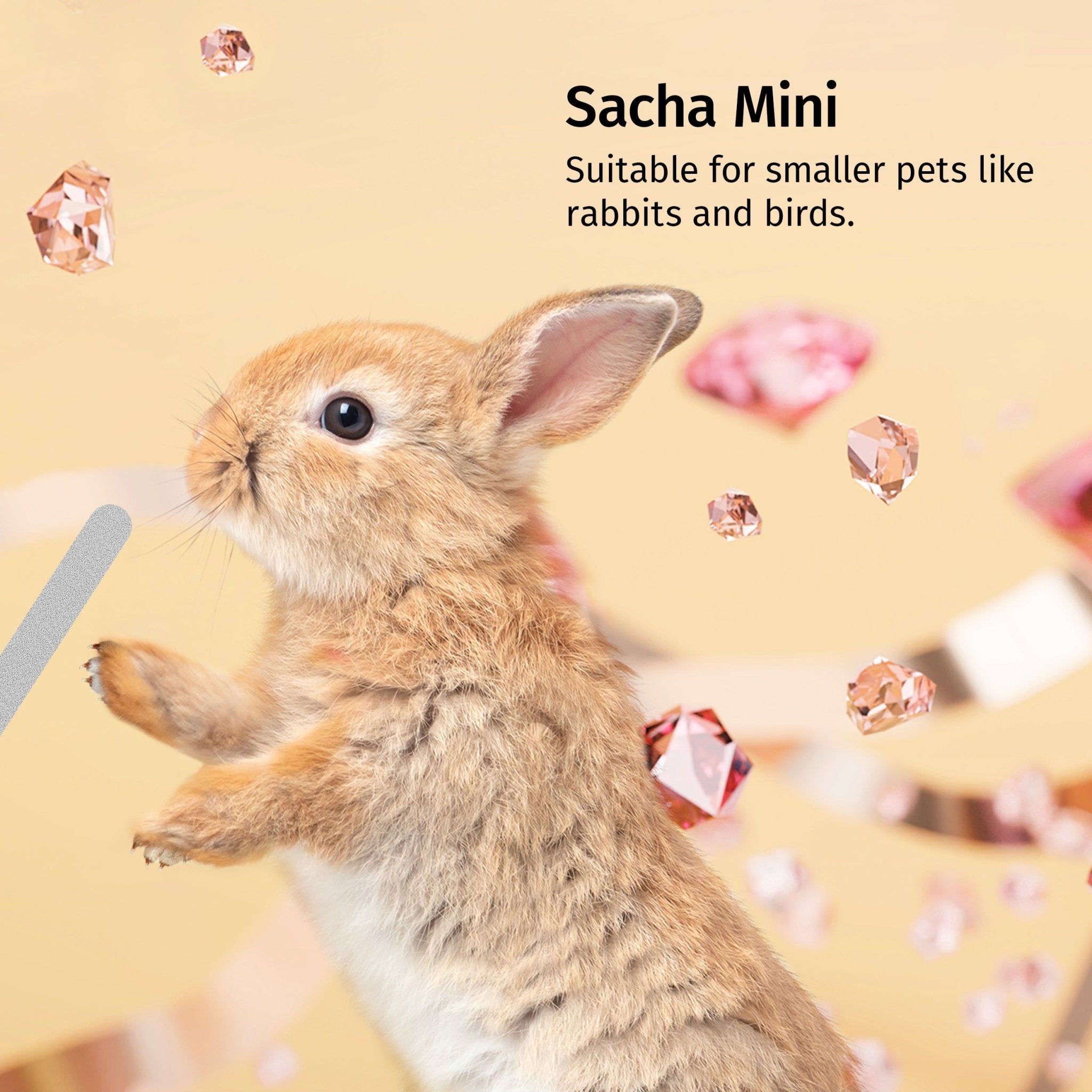 Claws file Mini - Sacha™ for animals - Diamancel Europe