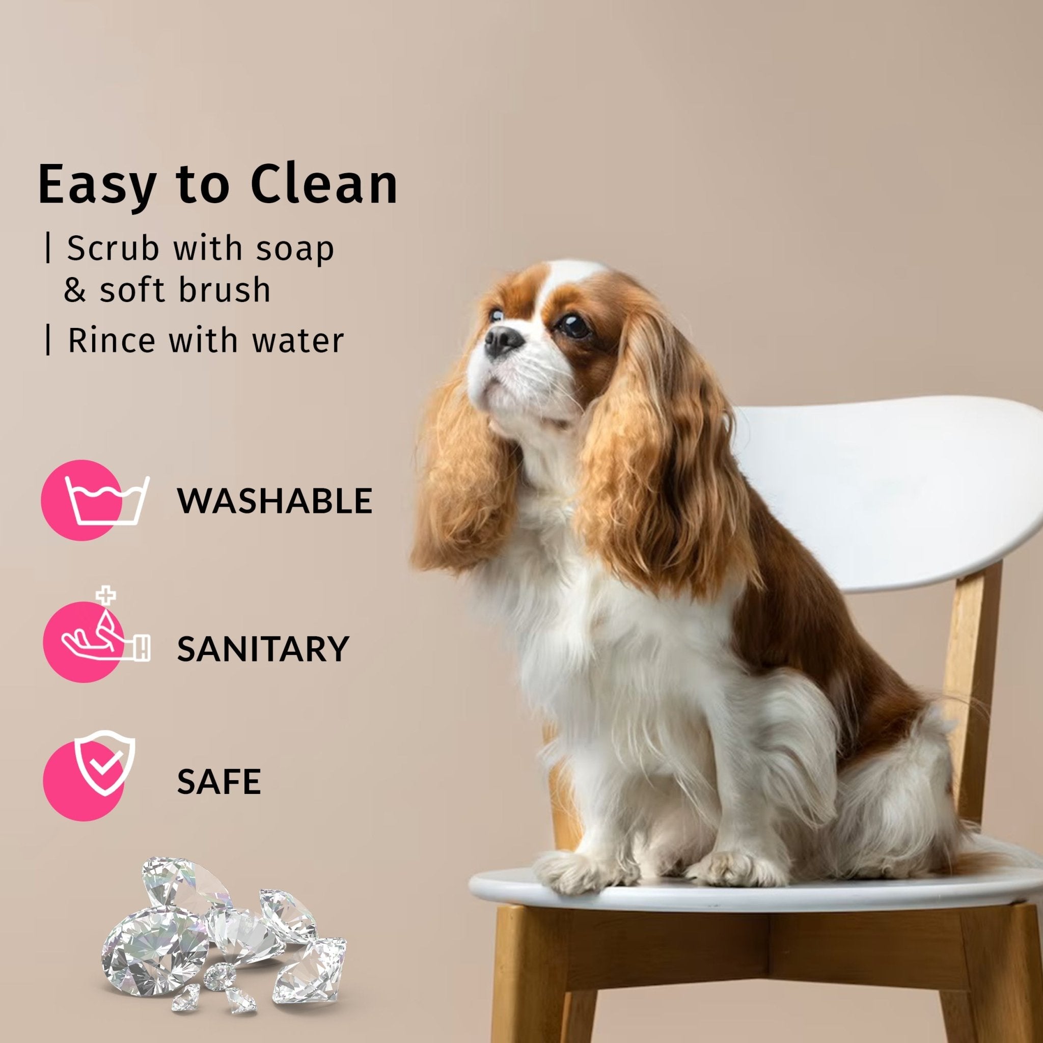 Claws file Mini - Sacha™ for animals - Diamancel Europe