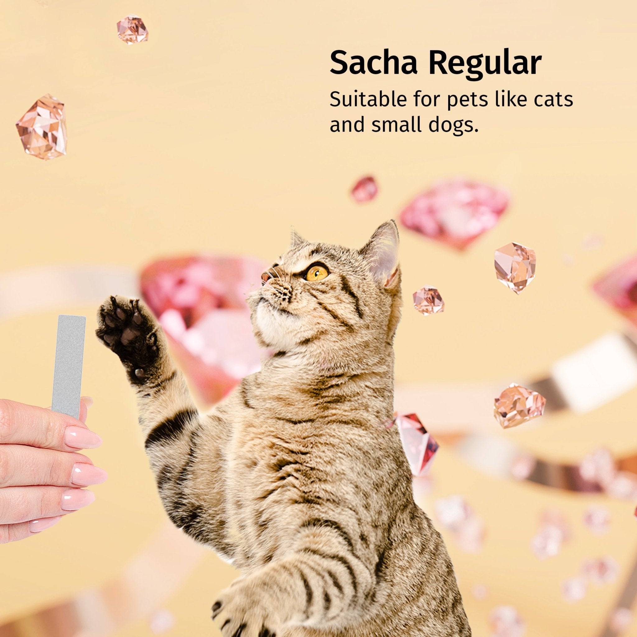 Claws file Sacha™ (medium size) for animals - Diamancel Europe