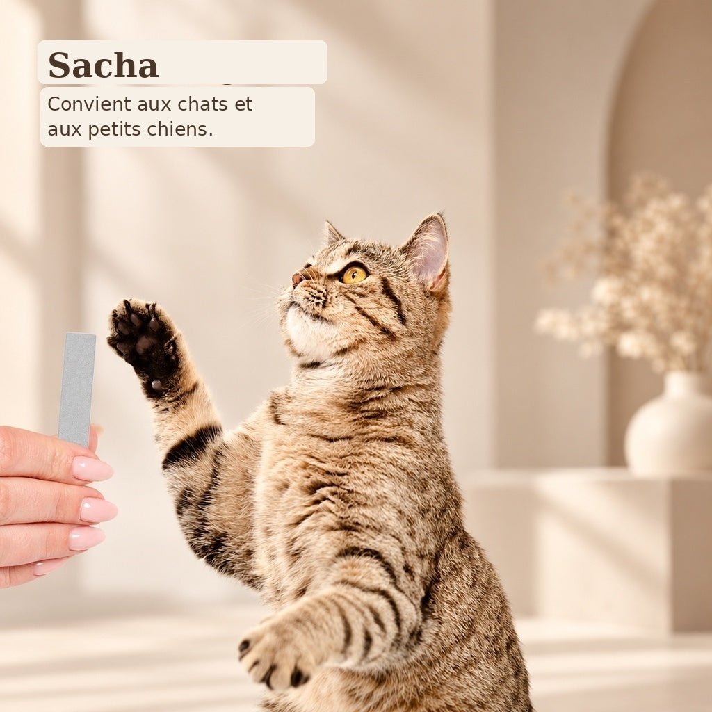 Sacha™ Diamond Pet Nail File – Medium Size - Diamancel Europe